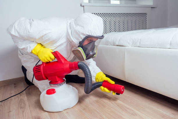 Emergency Pest Control in Millwood, WA